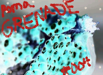 460>_623294